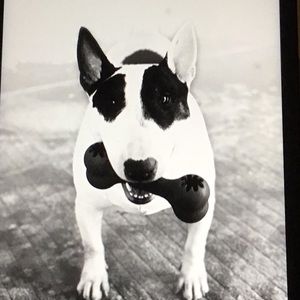 Meet your Posher, Adriano